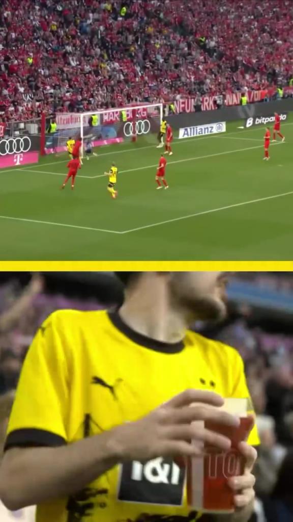 勇者无惧！这是真多特球迷！在拜仁球迷区一个人肆意庆祝！